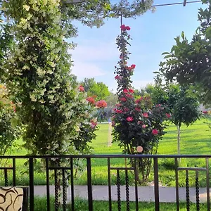 With Private Garden Shkodër